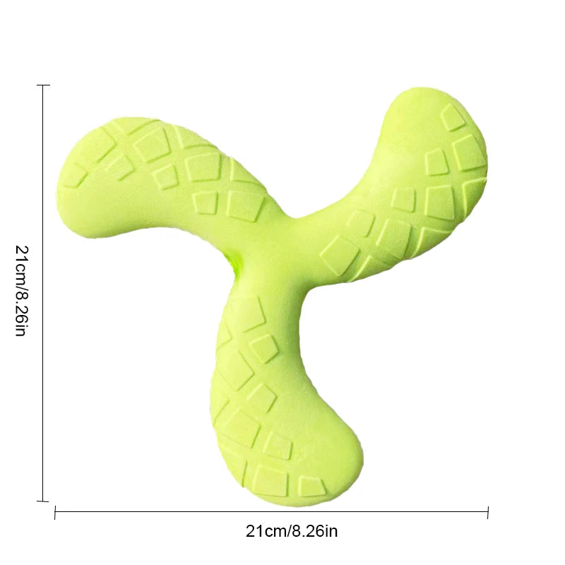 Outdoor Training Disc - Durable Chew-Resistant