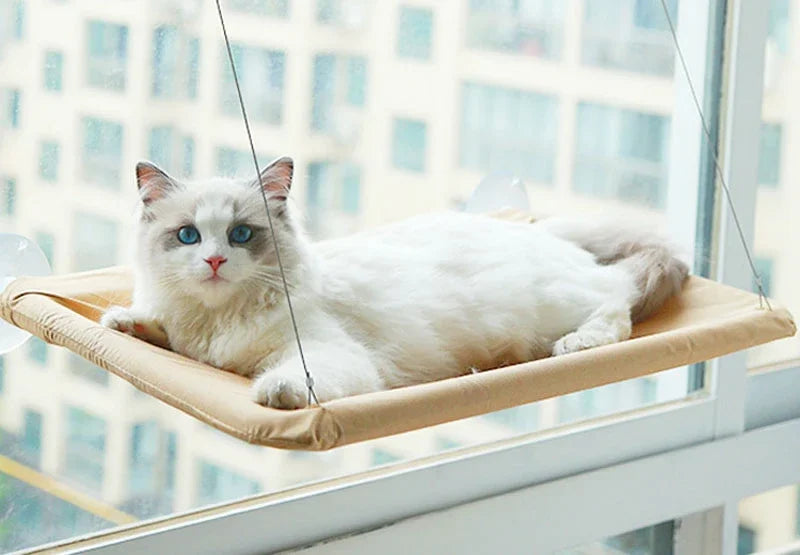 Sunny Cat Perch - Comfortable Hanging Pet Bed