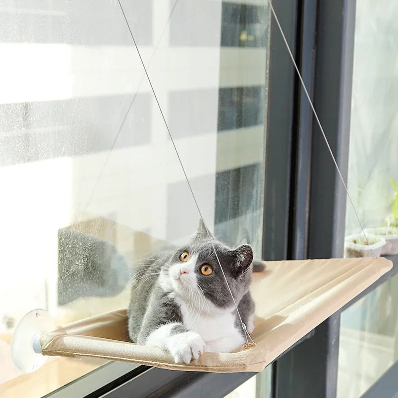 Sunny Cat Perch - Comfortable Hanging Pet Bed
