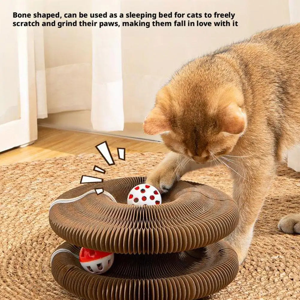 Magic Organ Cat Scratcher – Foldable with Rolling Ball