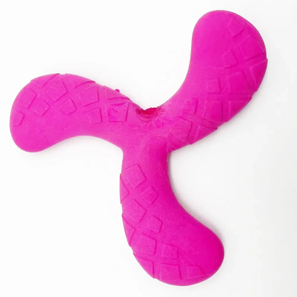 Outdoor Training Disc - Durable Chew-Resistant