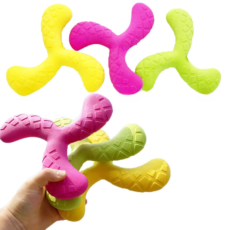 Outdoor Training Disc - Durable Chew-Resistant