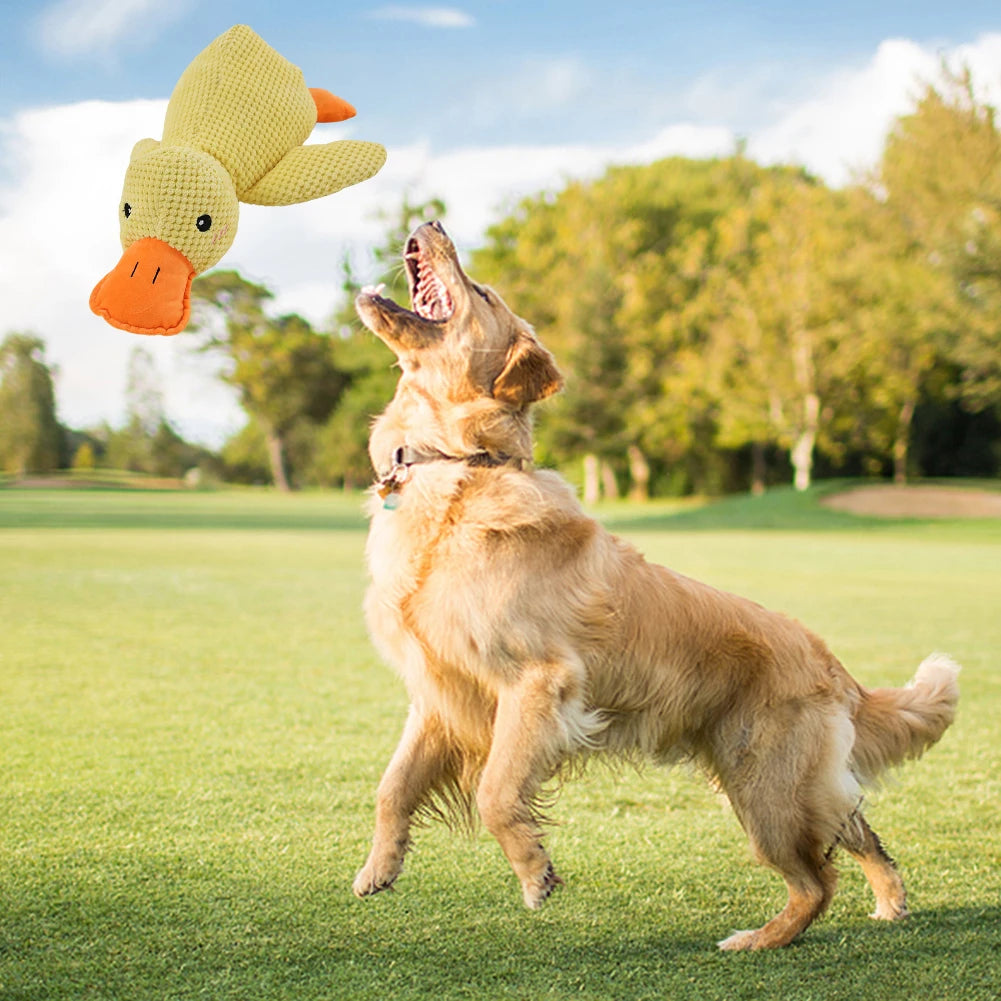 Gentle Chew Companion - Plush Toy for Dogs