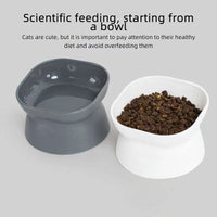 Elevated Cat Bowl - Anti-Vomit Whisker Relief