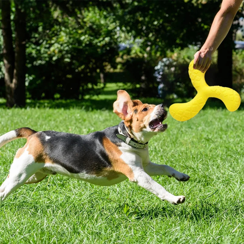 Outdoor Training Disc - Durable Chew-Resistant