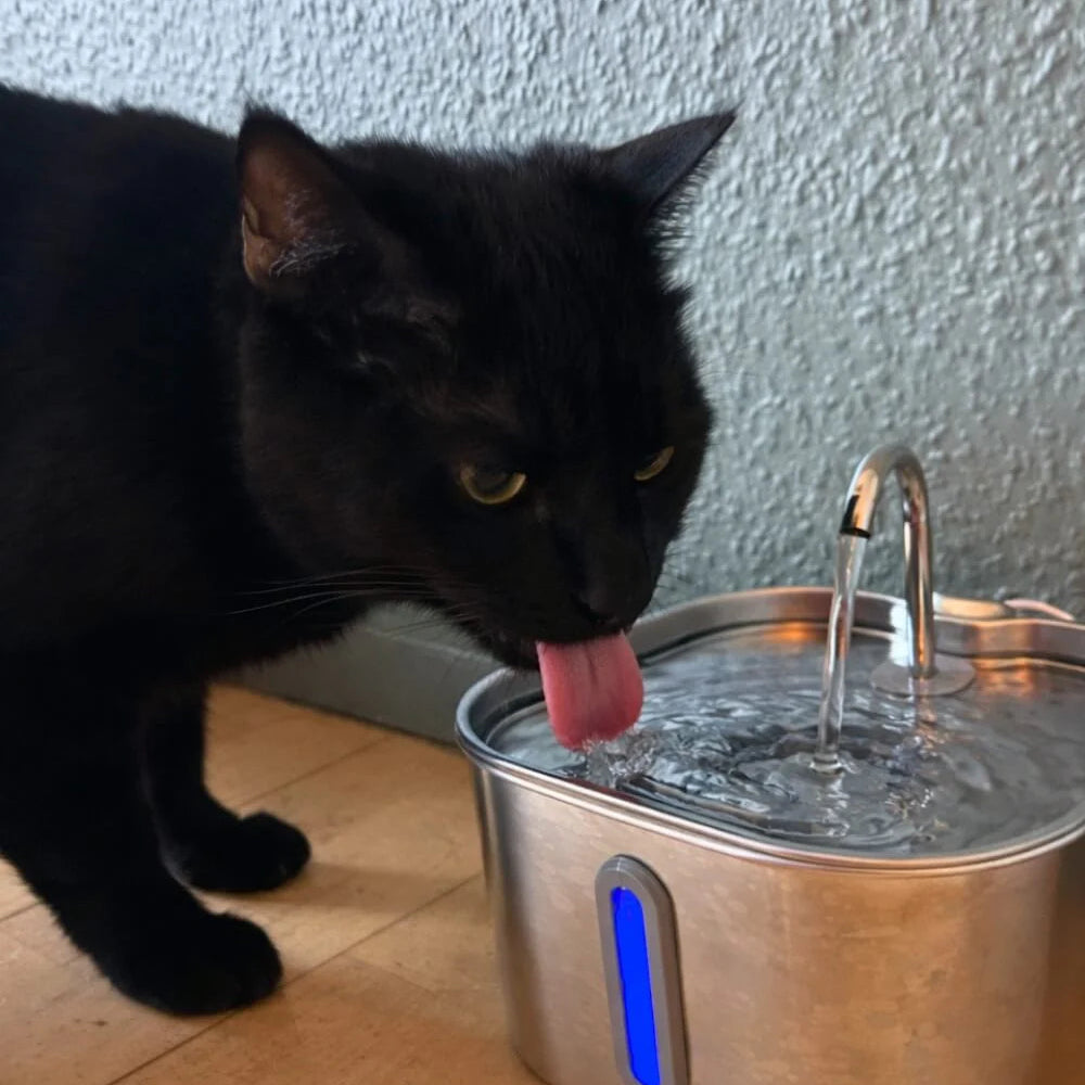 Black cat drinking water from a stainless steel pet fountain on a wooden floor.