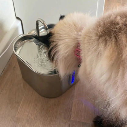 Cat drinking water from a metallic bowl on a wooden floor.