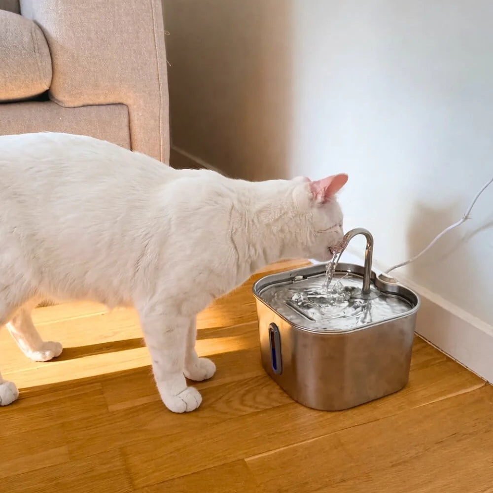 White cat drinking water from a metal bowl on a wooden floor.