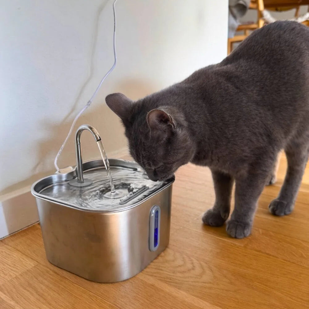 A gray cat drinking from a stainless steel pet water fountain on a wooden floor in a home setting.