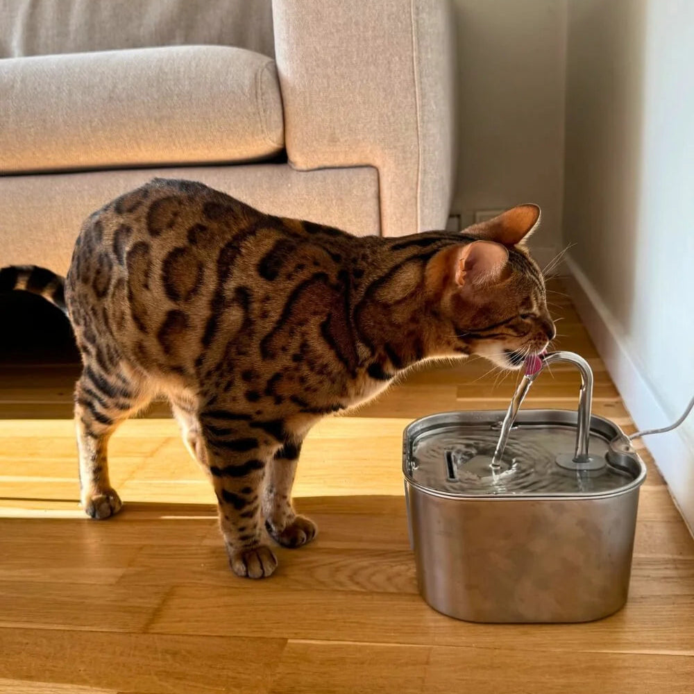 NobleFeeder™ Water Fountain