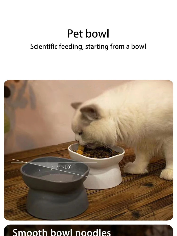 Elevated Cat Bowl - Anti-Vomit Whisker Relief