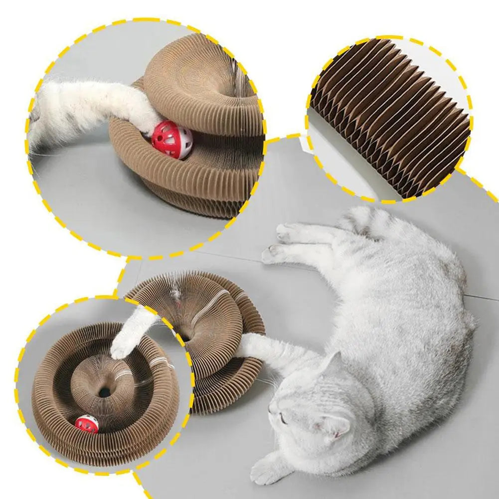 Magic Organ Cat Scratcher – Foldable with Rolling Ball