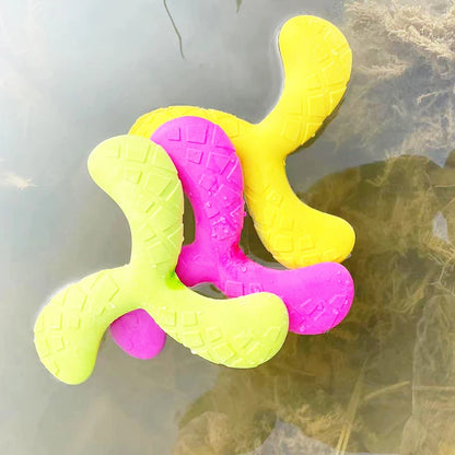 Outdoor Training Disc - Durable Chew-Resistant