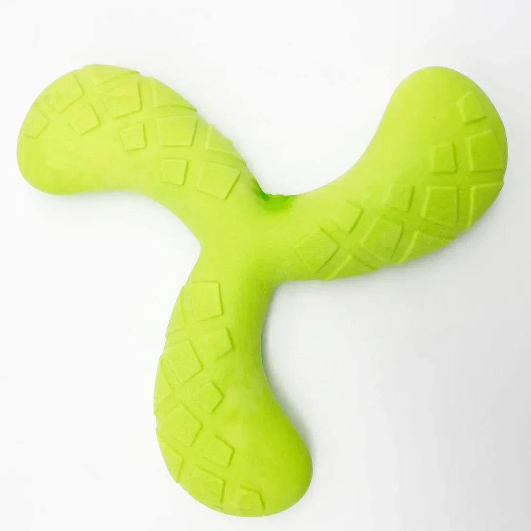 Outdoor Training Disc - Durable Chew-Resistant