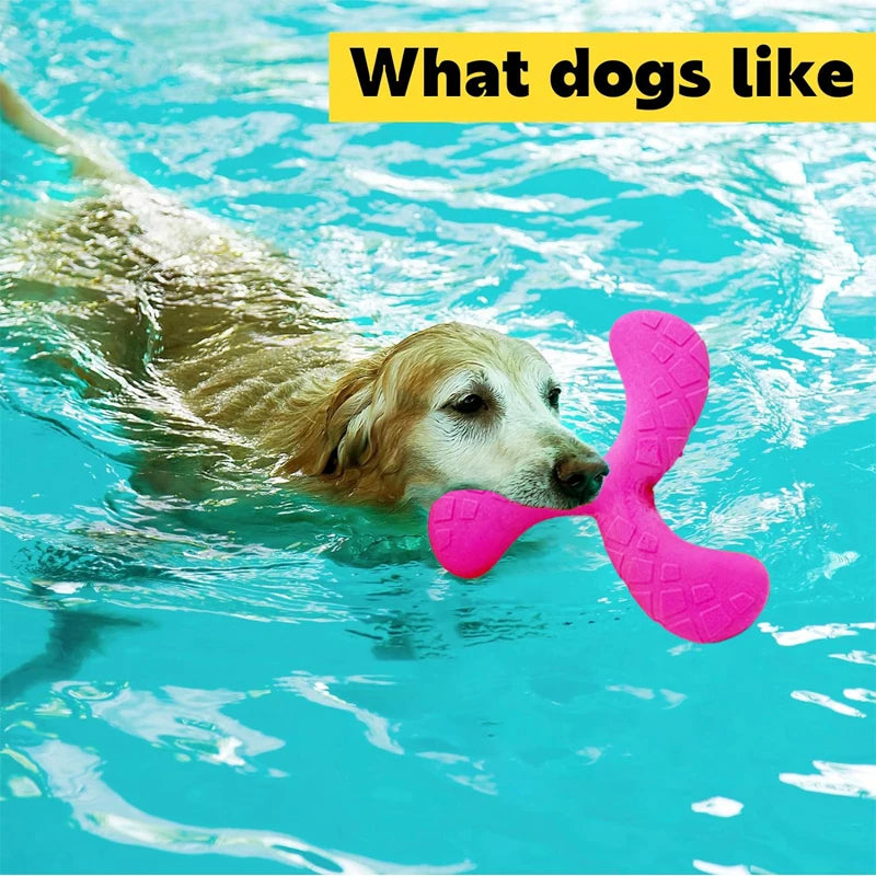 Outdoor Training Disc - Durable Chew-Resistant