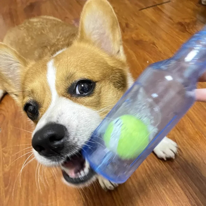 Bite-Resistant Bottle - Squeaky Chew Toy