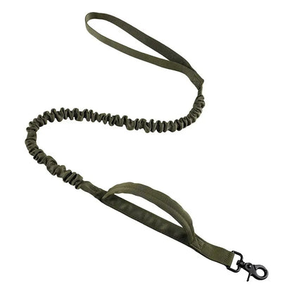 NobleTrek™ Nylon Control Leash