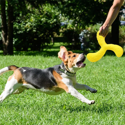 Outdoor Training Disc - Durable Chew-Resistant