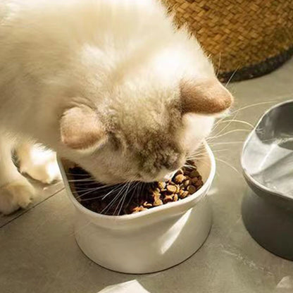 Elevated Cat Bowl - Anti-Vomit Whisker Relief