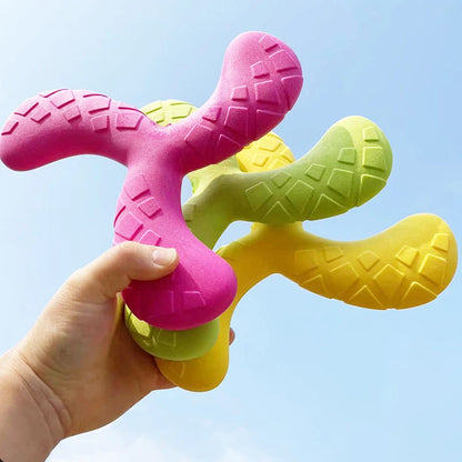 Outdoor Training Disc - Durable Chew-Resistant