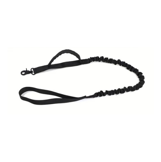 NobleTrek™ Nylon Control Leash