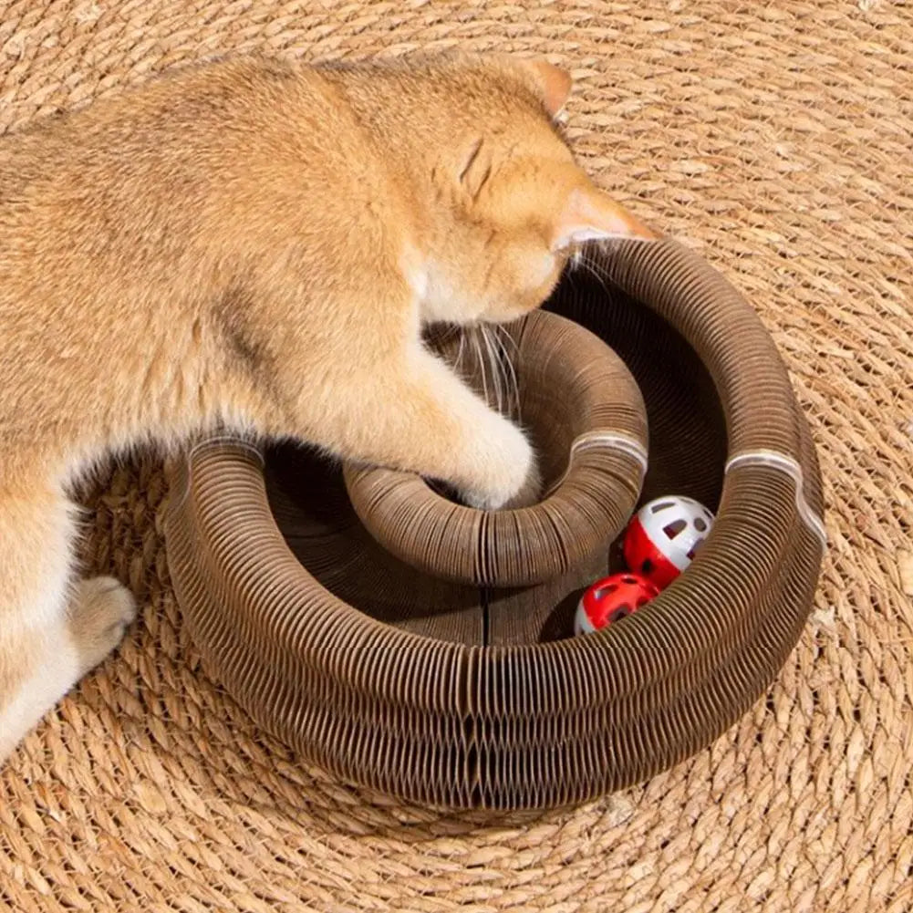 Magic Organ Cat Scratcher – Foldable with Rolling Ball