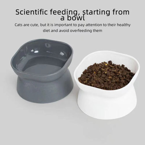 Elevated Cat Bowl - Anti-Vomit Whisker Relief