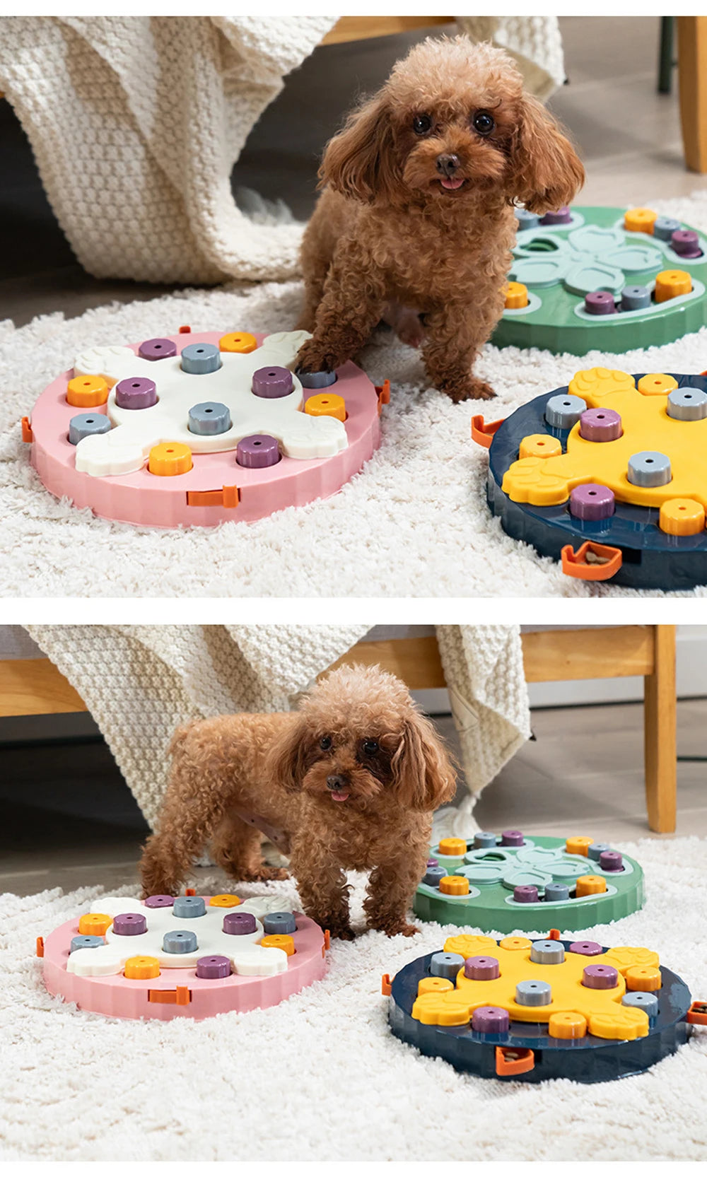 Slow Feeder Puzzle - Interactive Stimulation